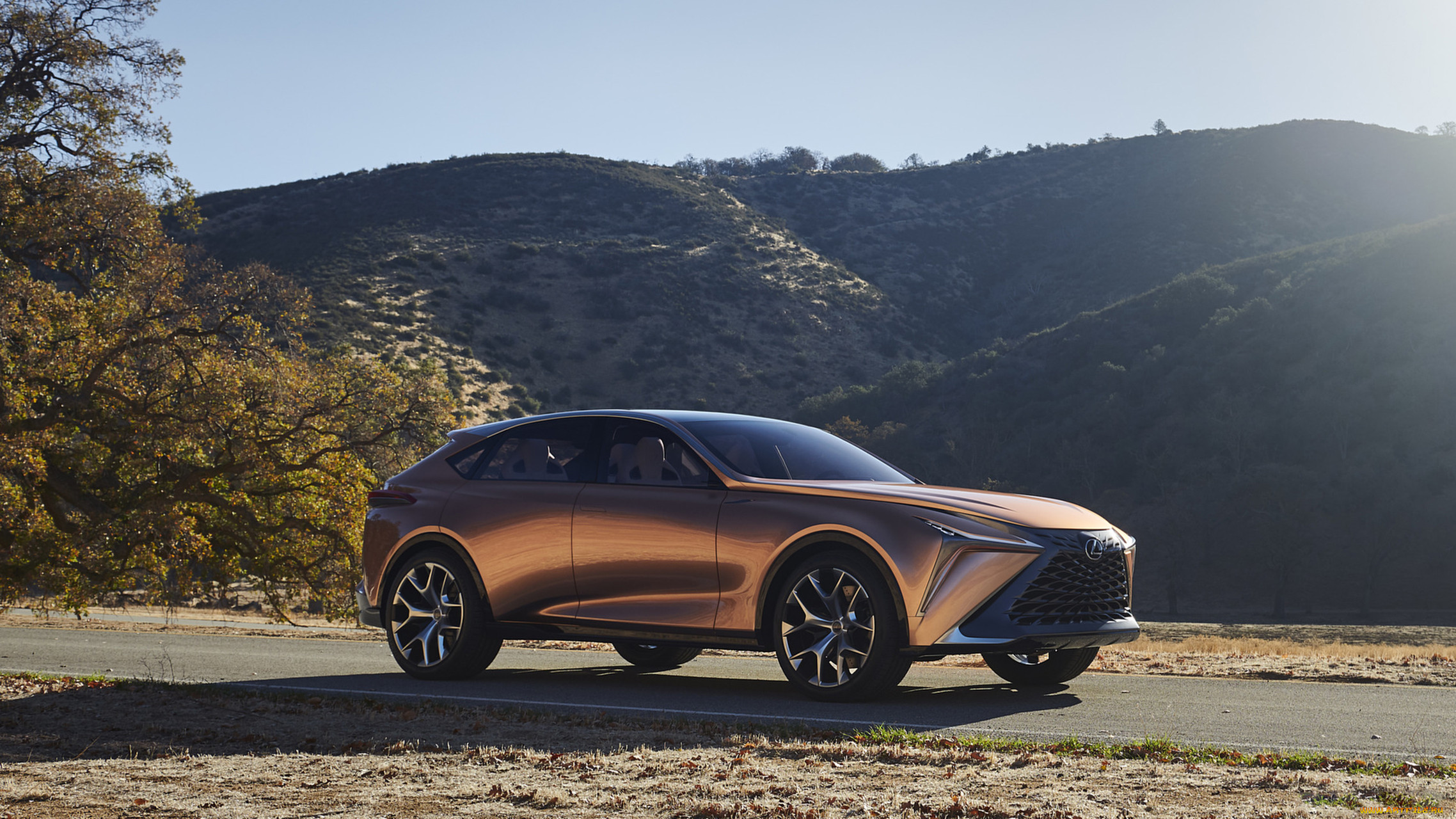 lexus lf-1 limitless concept 2018, , lexus, 2018, concept, limitless, lf-1